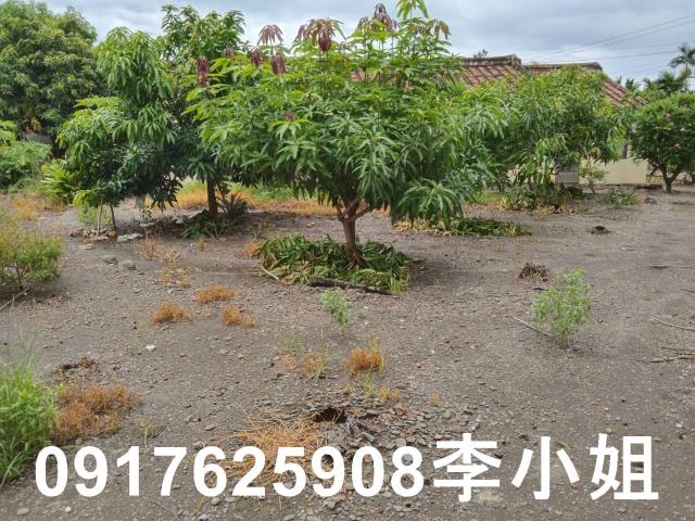 佳冬透天-2